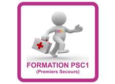 FORMATIONS PSC1 2020