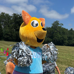 Les Jeux Sportifs de la Communauté de Communes Cœur de Brenne : clap de fin de la troisième édition